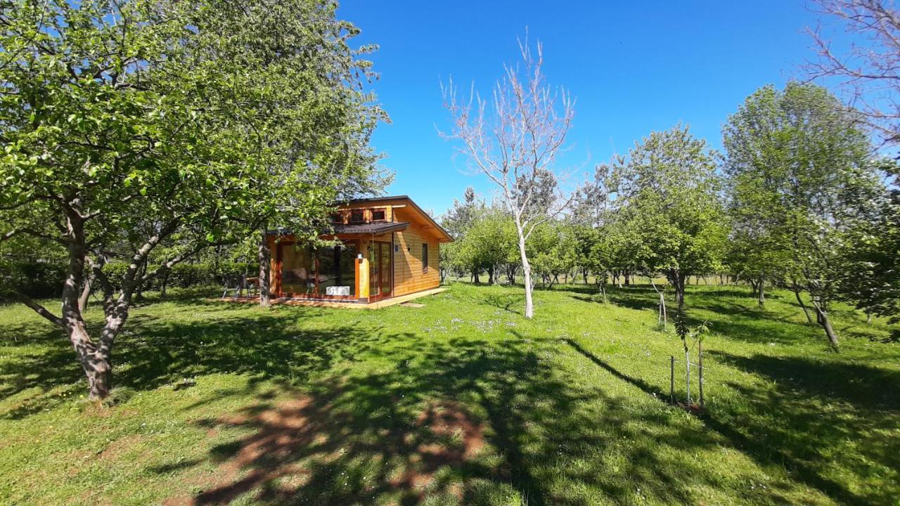 Tiny House Grabovac Vila Rakovica Exterior foto