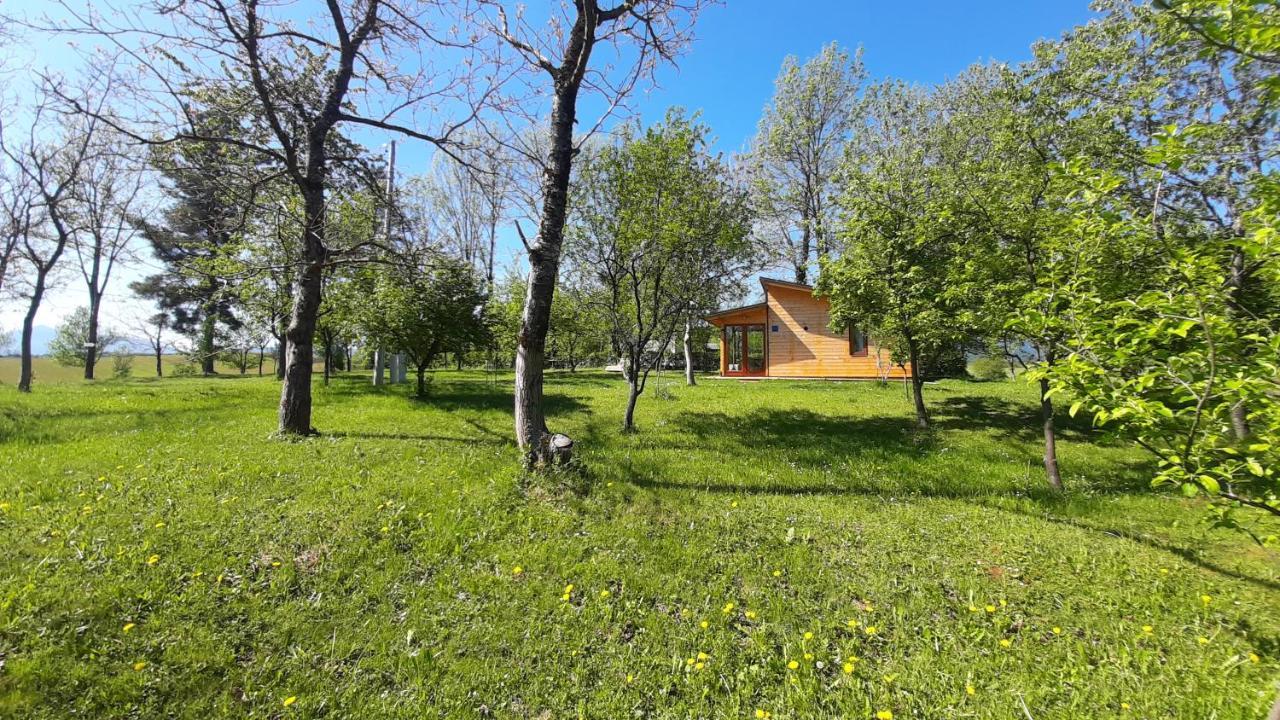 Tiny House Grabovac Vila Rakovica Exterior foto